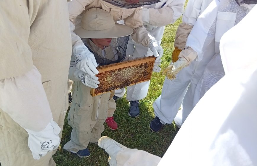 Indispensable combi. pour approcher les abeilles.