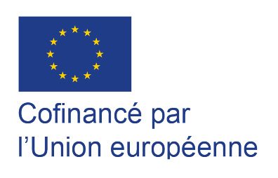 LOGO SITE FSE