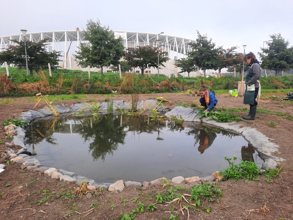 Mare créée par Family Social Club