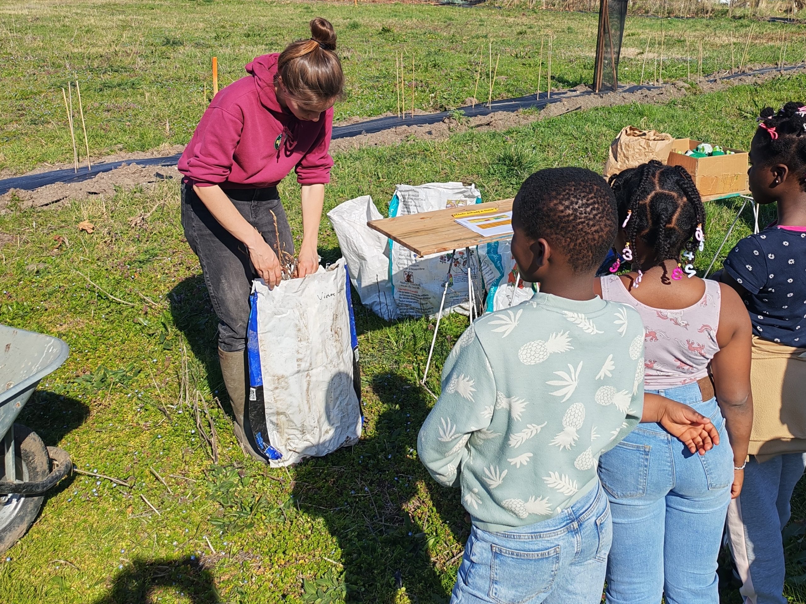 photo La ferme des vergnes plantation des arbres fruitiers
