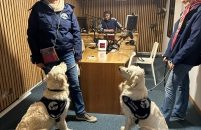 Asso Handi&rsquo; Chiens