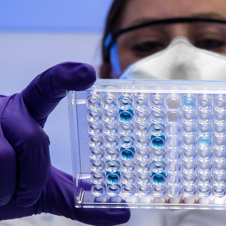 DARWIN-about-overview-02