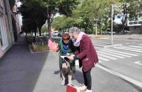 IMG_20260515_164850