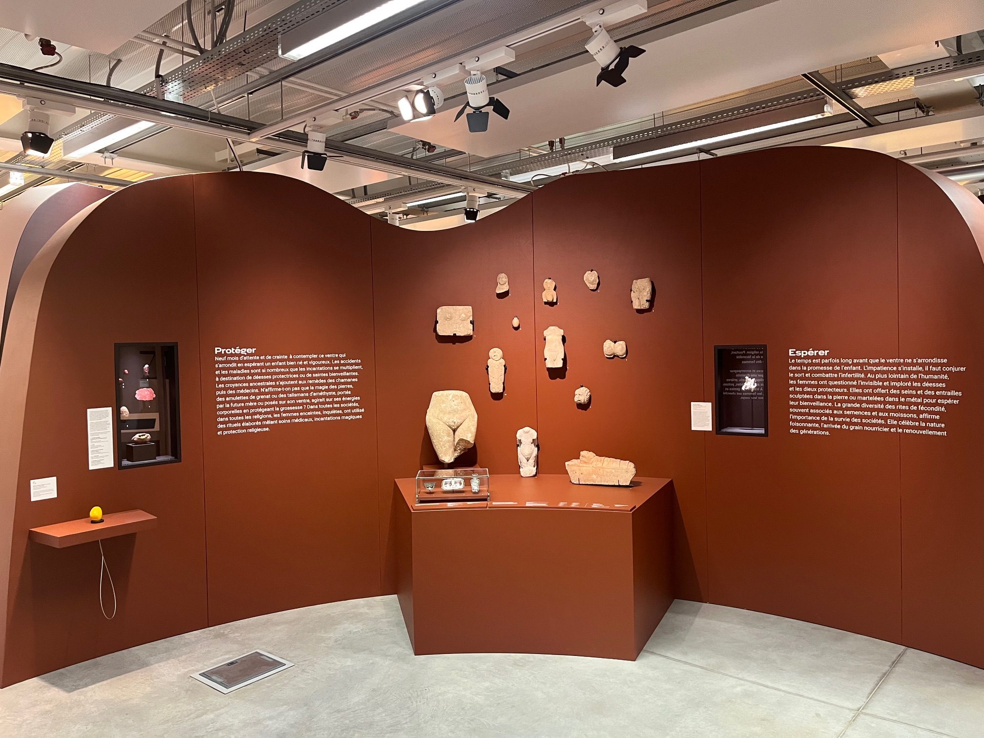 Photographie d'un mur marron de l'exposition, qui présente des bustes et statuettes archéologique.