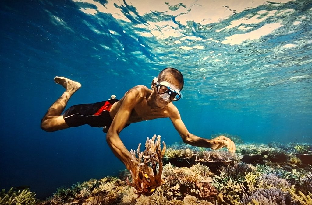 corail renaissance