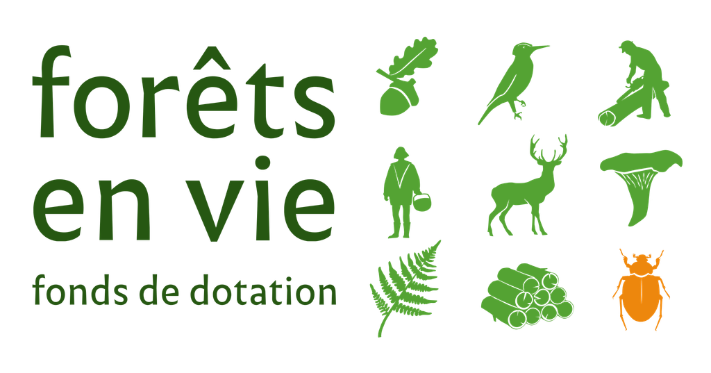 logo_fev