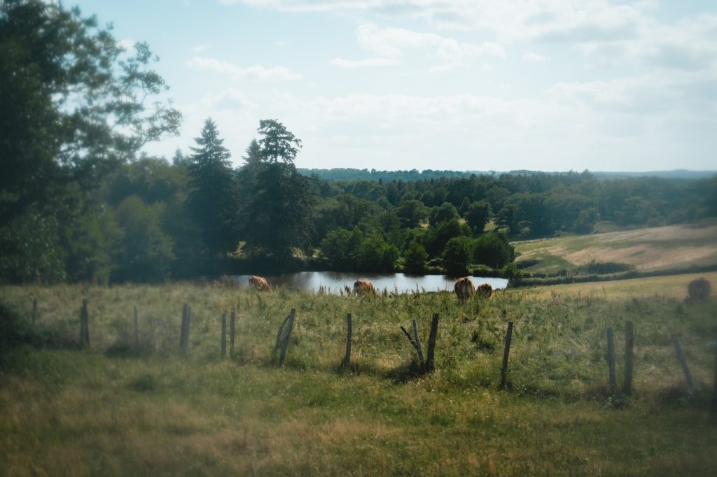 260606_AUCM_Villefavard_reportage_web_120
